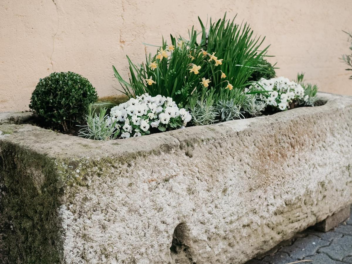 B&B Roudenhaff Echternach Ngoại thất bức ảnh